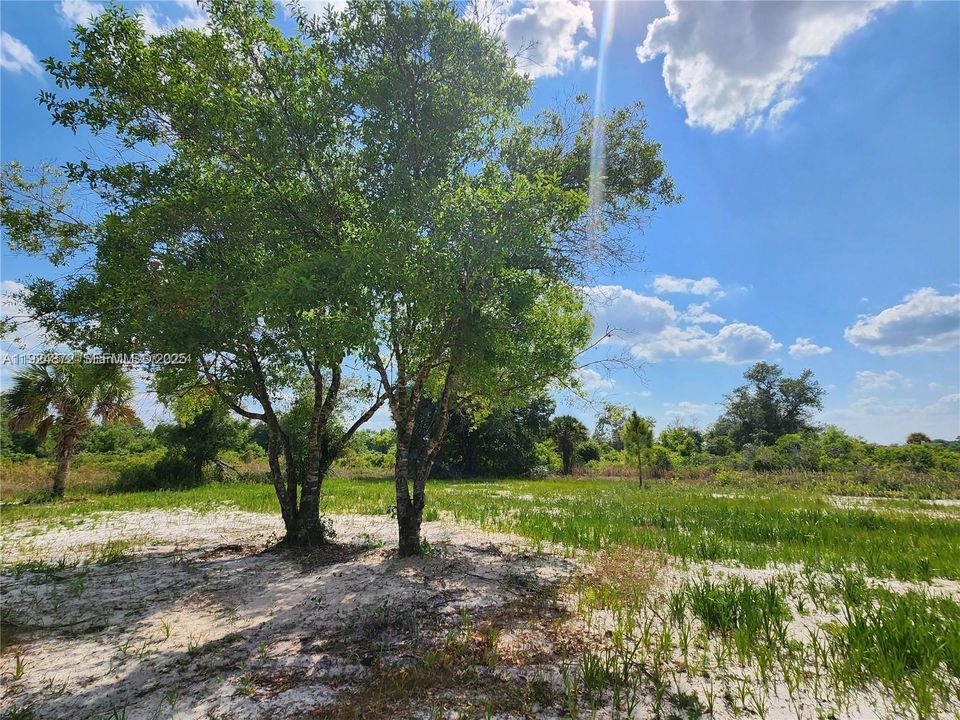 For Sale: $48,500 (1.25 acres)