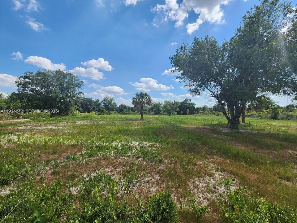 For Sale: $48,500 (1.25 acres)