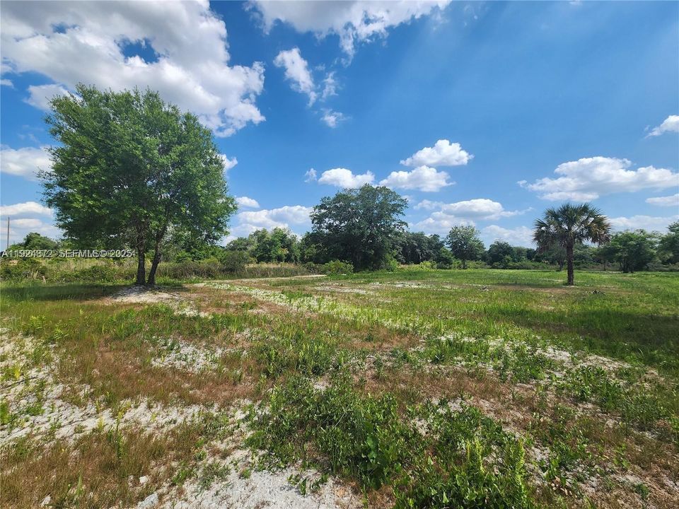For Sale: $48,500 (1.25 acres)