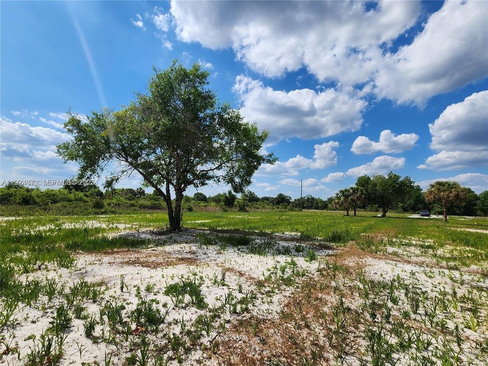 For Sale: $48,500 (1.25 acres)