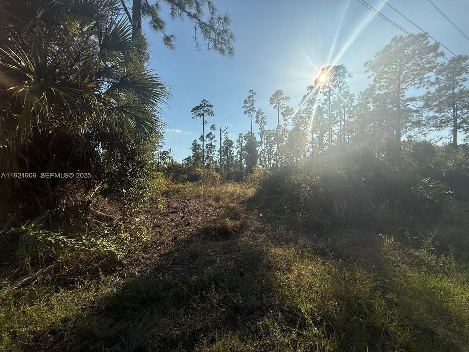 For Sale: $85,000 (12,384.00 acres)