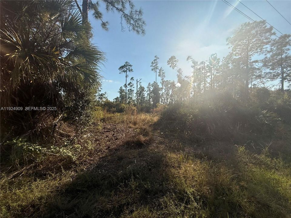 For Sale: $85,000 (12,384.00 acres)