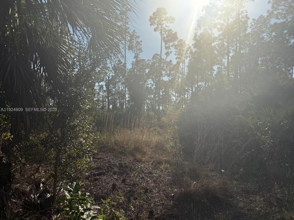 For Sale: $85,000 (12,384.00 acres)