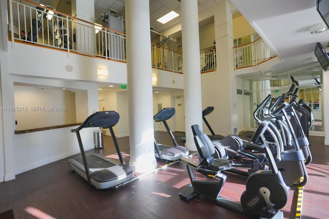 Gym 2 story