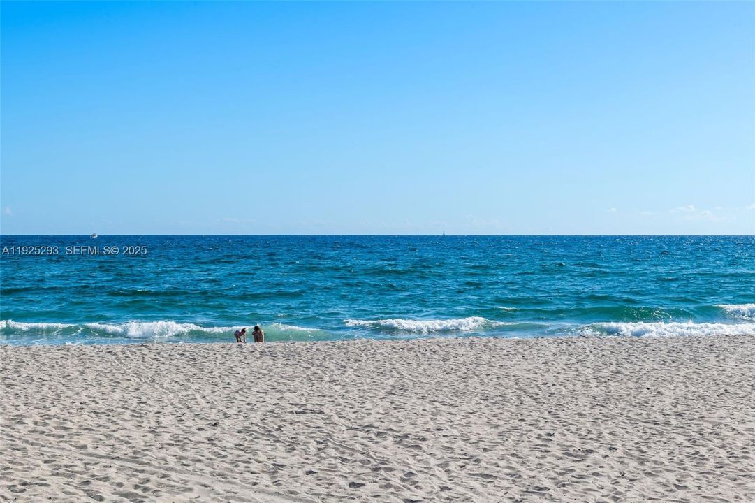 На продажу: $305,000 (1 спален, 1 ванн, 700 Квадратных фут)