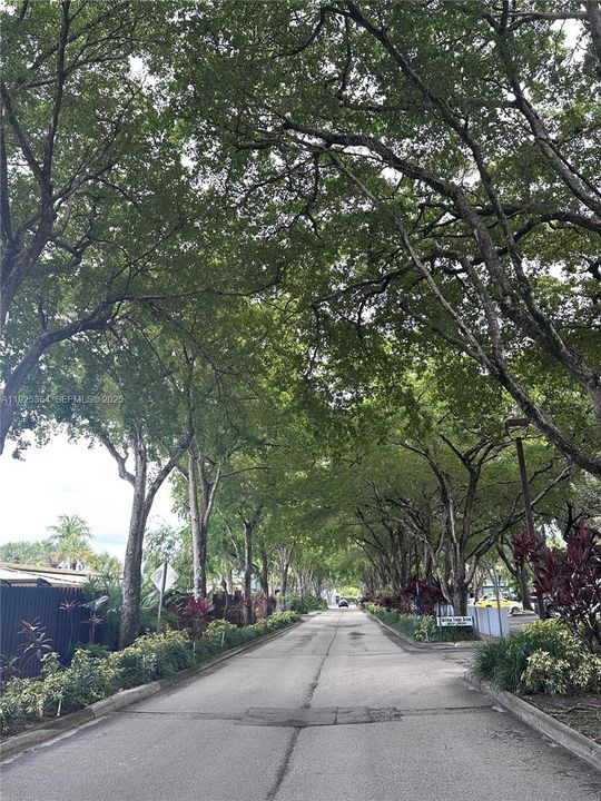 En Venta: $510,000 (2 camas, 2 baños, 1275 Pies cuadrados)