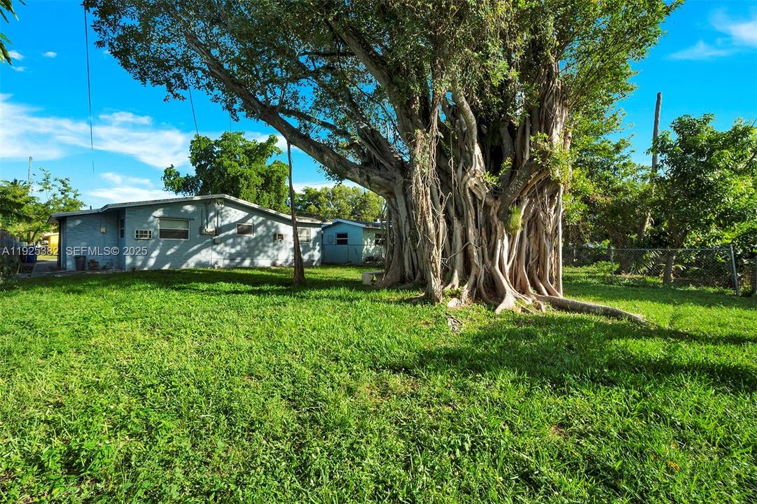 出租: $1,800 (3 贝兹, 2 浴室, 1523 平方英尺)