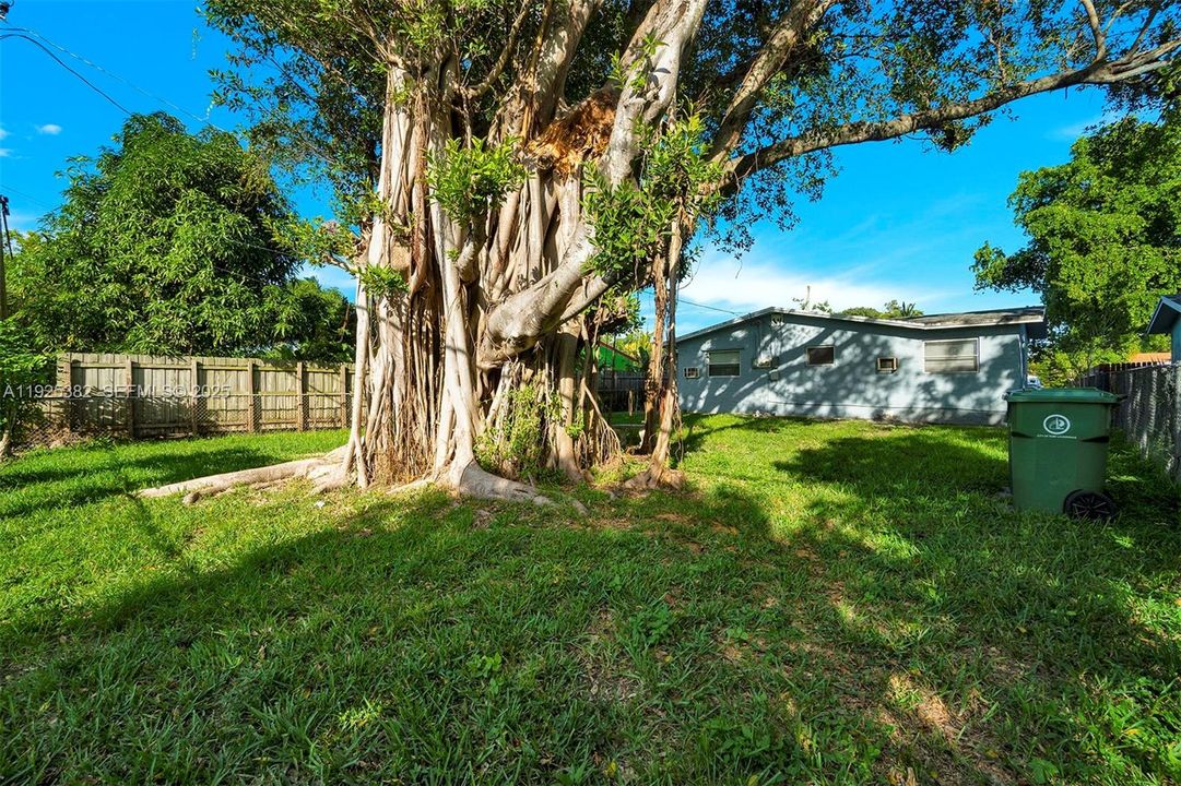 出租: $1,800 (3 贝兹, 2 浴室, 1523 平方英尺)