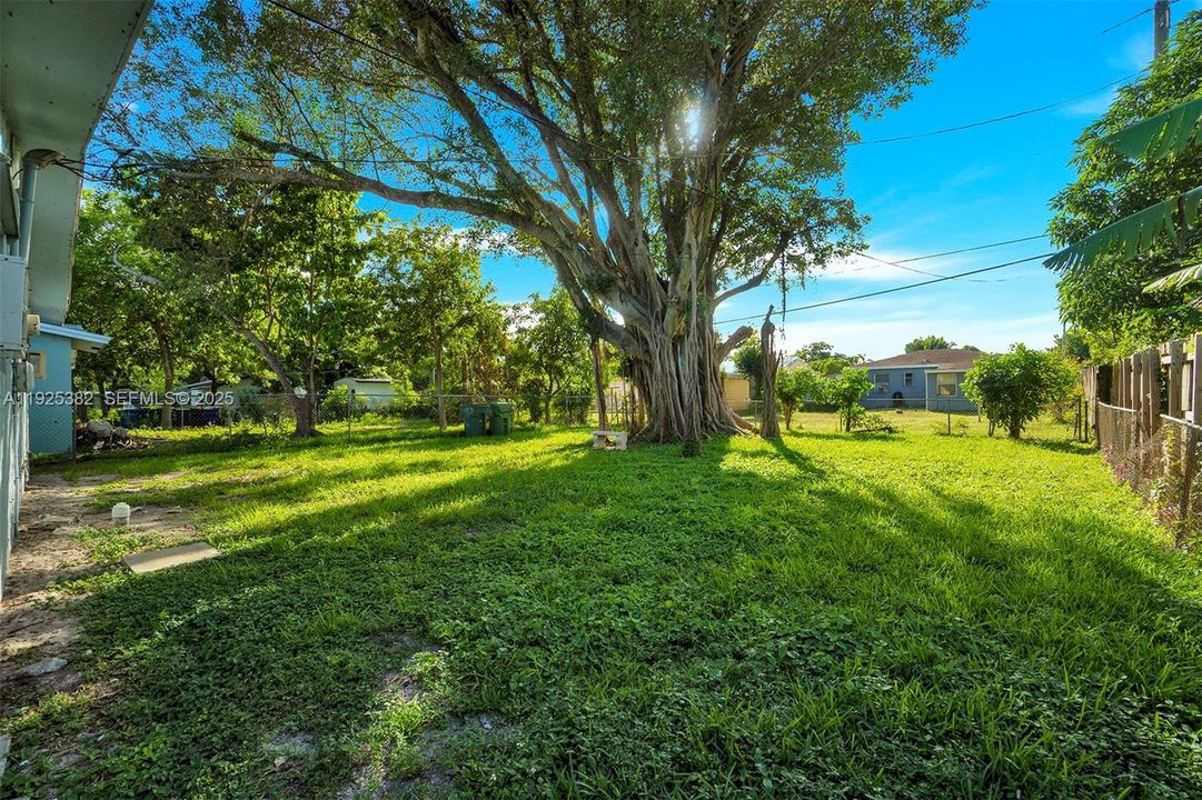 出租: $1,800 (3 贝兹, 2 浴室, 1523 平方英尺)