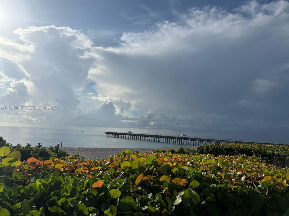 En Renta: $7,500 (3 camas, 2 baños, 1700 Pies cuadrados)