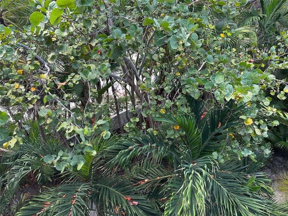 For Rent: $4,700 (2 beds, 2 baths, 1450 Square Feet)