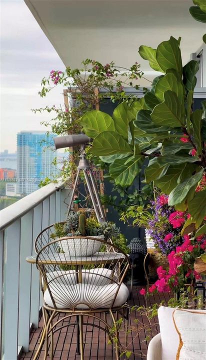 出租: $9,500 (4 贝兹, 4 浴室, 0 平方英尺)