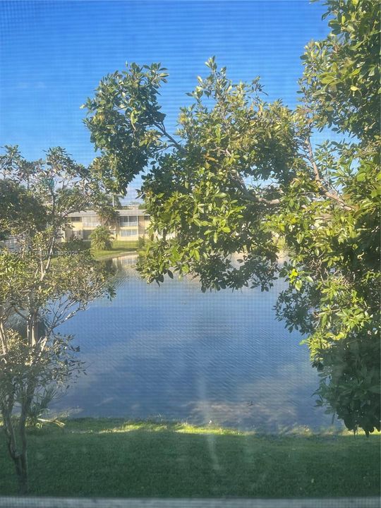 For Rent: $1,850 (1 beds, 1 baths, 800 Square Feet)