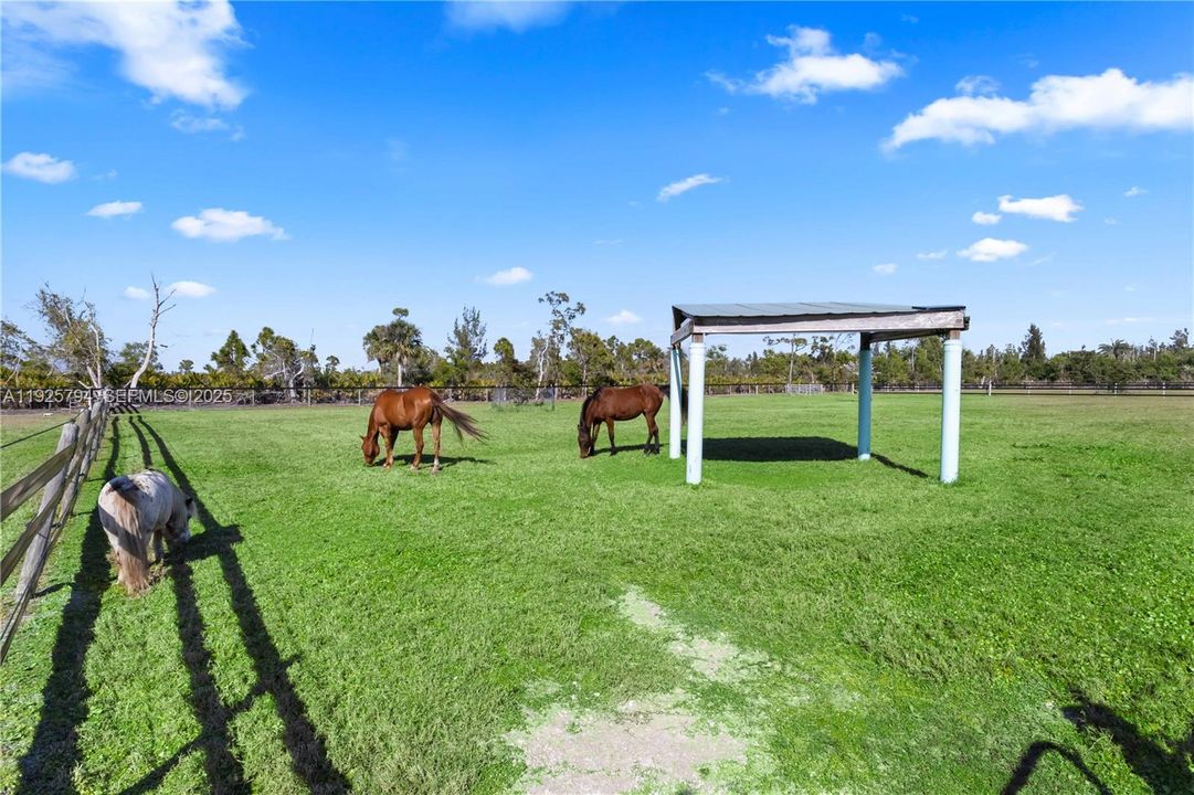 待售: $998,888 (2 贝兹, 2 浴室, 0 平方英尺)