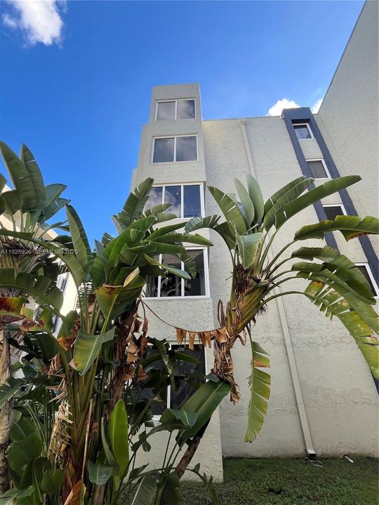 待售: $305,000 (3 贝兹, 2 浴室, 1280 平方英尺)