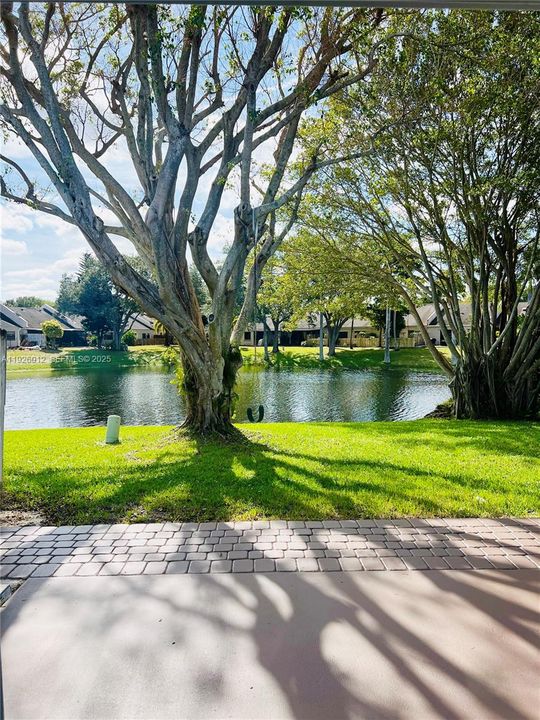 В аренду: $3,000 (2 спален, 2 ванн, 1368 Квадратных фут)