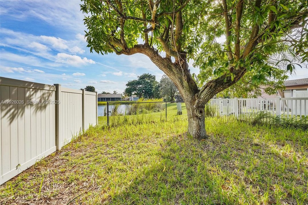 For Sale: $519,900 (4 beds, 2 baths, 1715 Square Feet)