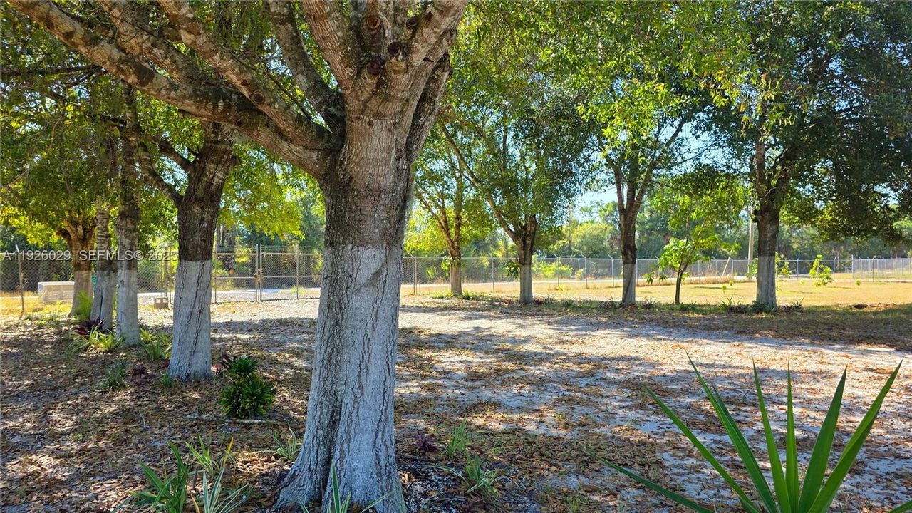 待售: $550,000 (3 贝兹, 2 浴室, 1872 平方英尺)