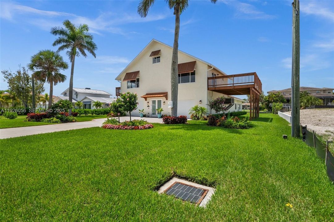 Large Yard with Palm Trees