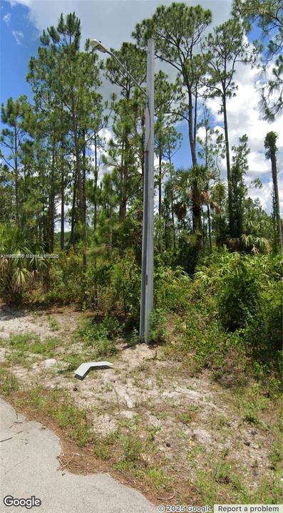 For Sale: $20,000 (0.25 acres)