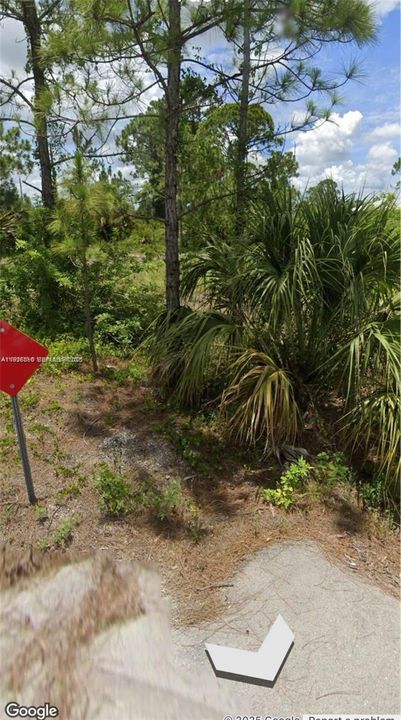 For Sale: $20,000 (0.25 acres)