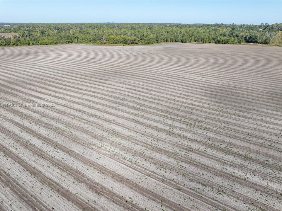 For Sale: $2,499,000 (0 beds, 0 baths, 0 Square Feet)