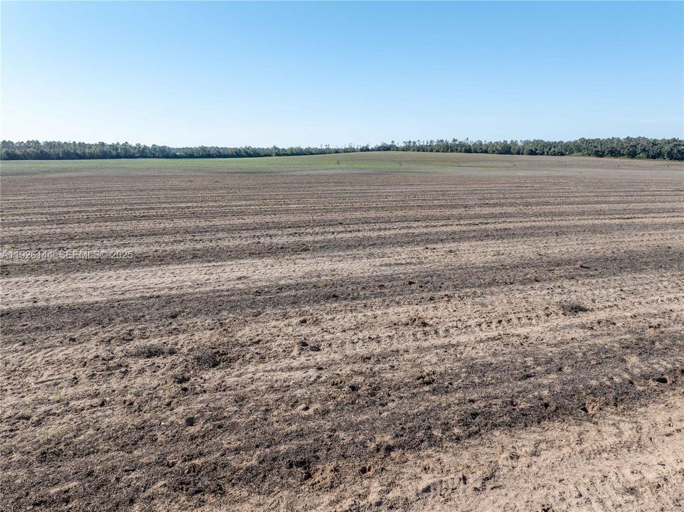 For Sale: $2,499,000 (0 beds, 0 baths, 0 Square Feet)