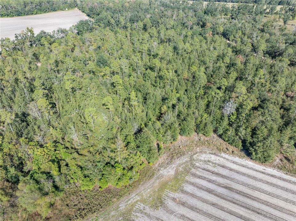 For Sale: $2,499,000 (0 beds, 0 baths, 0 Square Feet)