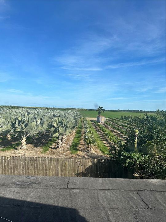 En Renta: $3,750 (4 camas, 3 baños, 1677 Pies cuadrados)