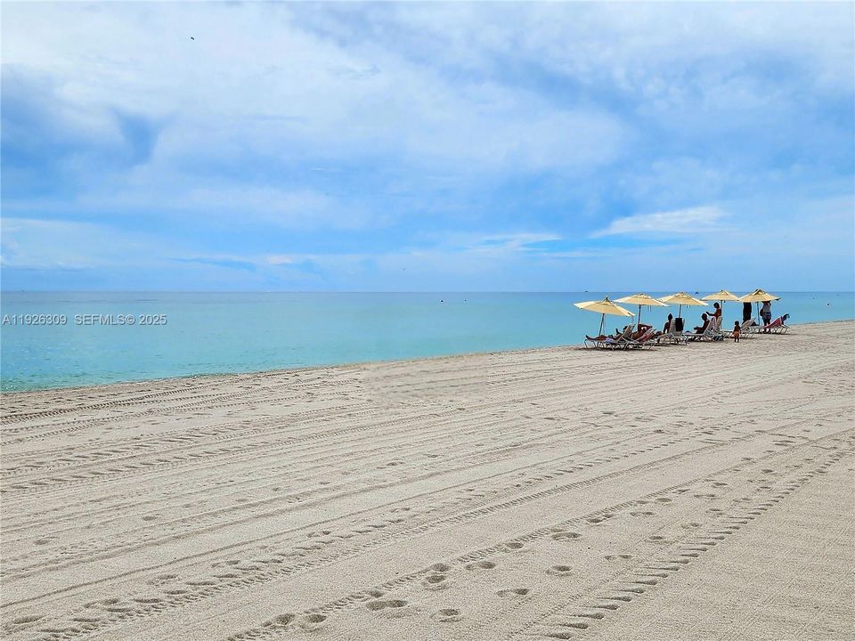 出租: $4,800 (2 贝兹, 2 浴室, 1100 平方英尺)