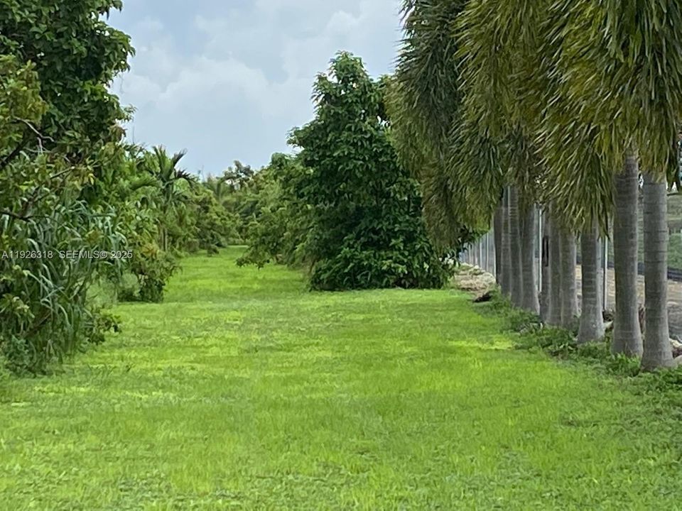 Well maintained grounds