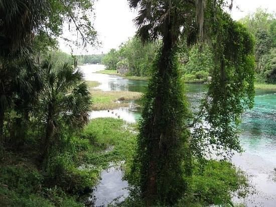 Rainbow Springs state Park