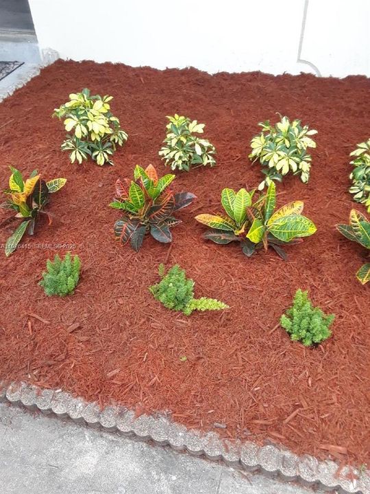 合同活跃: $2,200 (2 贝兹, 1 浴室, 870 平方英尺)