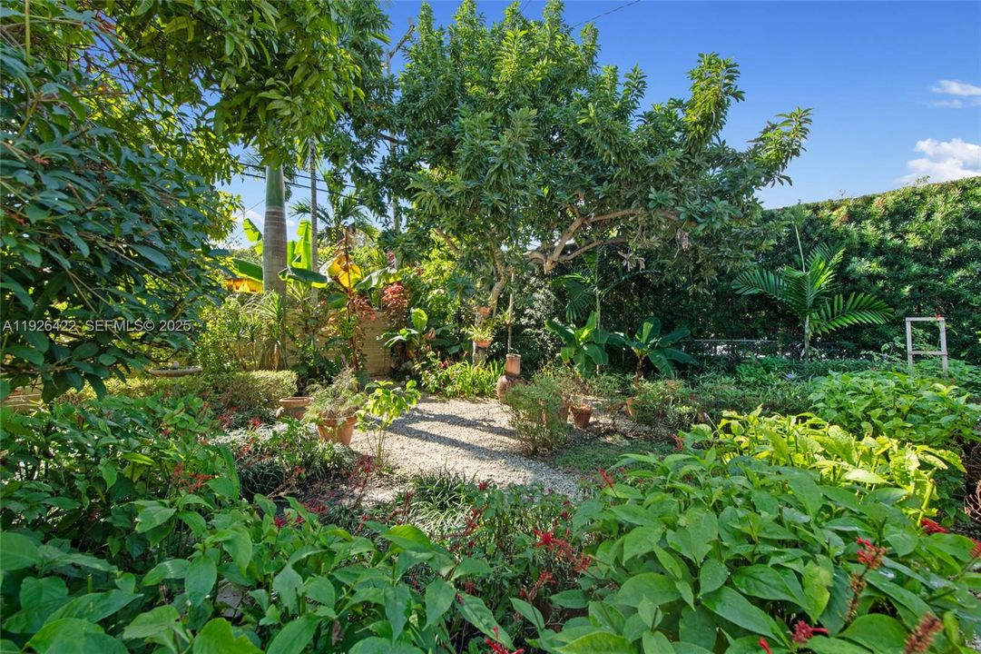 待售: $975,000 (3 贝兹, 2 浴室, 1232 平方英尺)