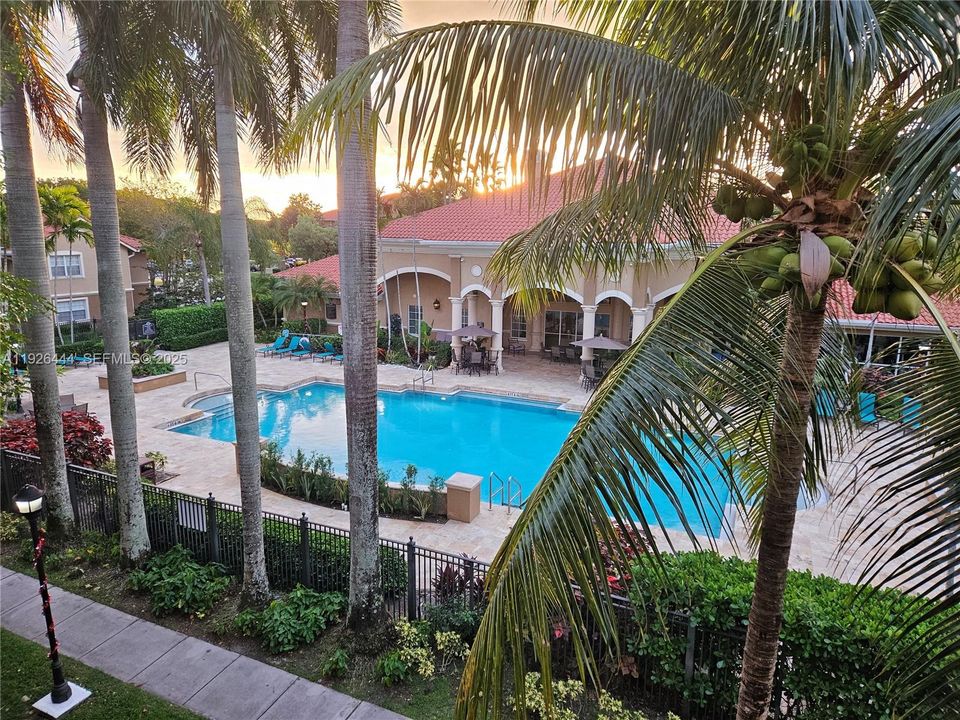 En Renta: $1,890 (1 camas, 1 baños, 810 Pies cuadrados)