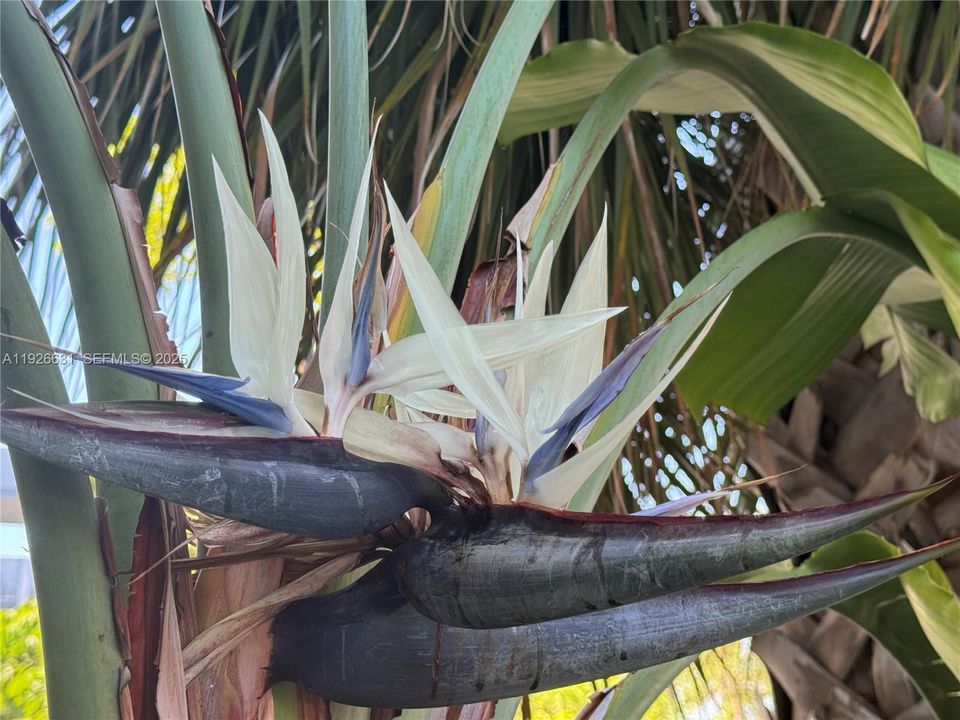 En Renta: $2,200 (2 camas, 2 baños, 1190 Pies cuadrados)