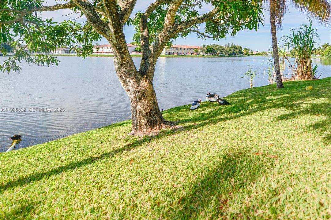 В аренду: $3,800 (3 спален, 2 ванн, 1739 Квадратных фут)