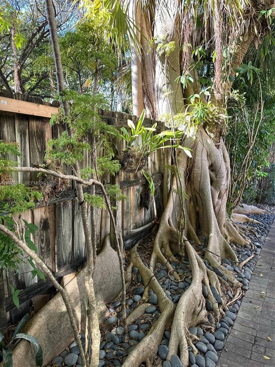 En Renta: $2,300 (1 camas, 1 baños, 600 Pies cuadrados)