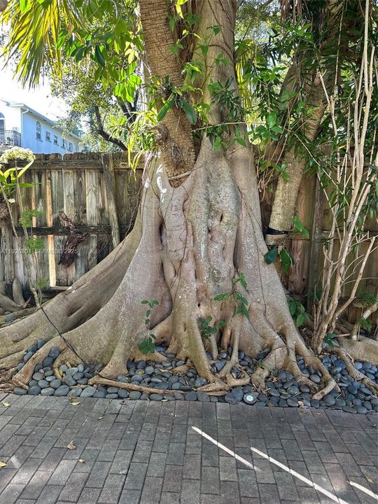 En Renta: $2,300 (1 camas, 1 baños, 600 Pies cuadrados)