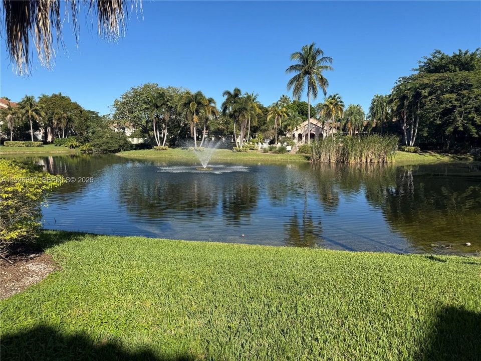 В аренду: $2,200 (2 спален, 1 ванн, 817 Квадратных фут)