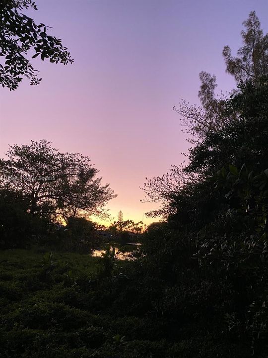 待售: $349,500 (0.14 acres)