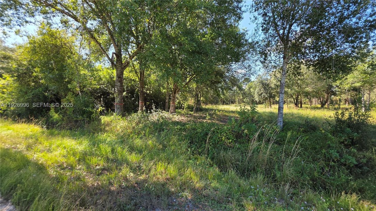 待售: $75,000 (0 贝兹, 0 浴室, 0 平方英尺)