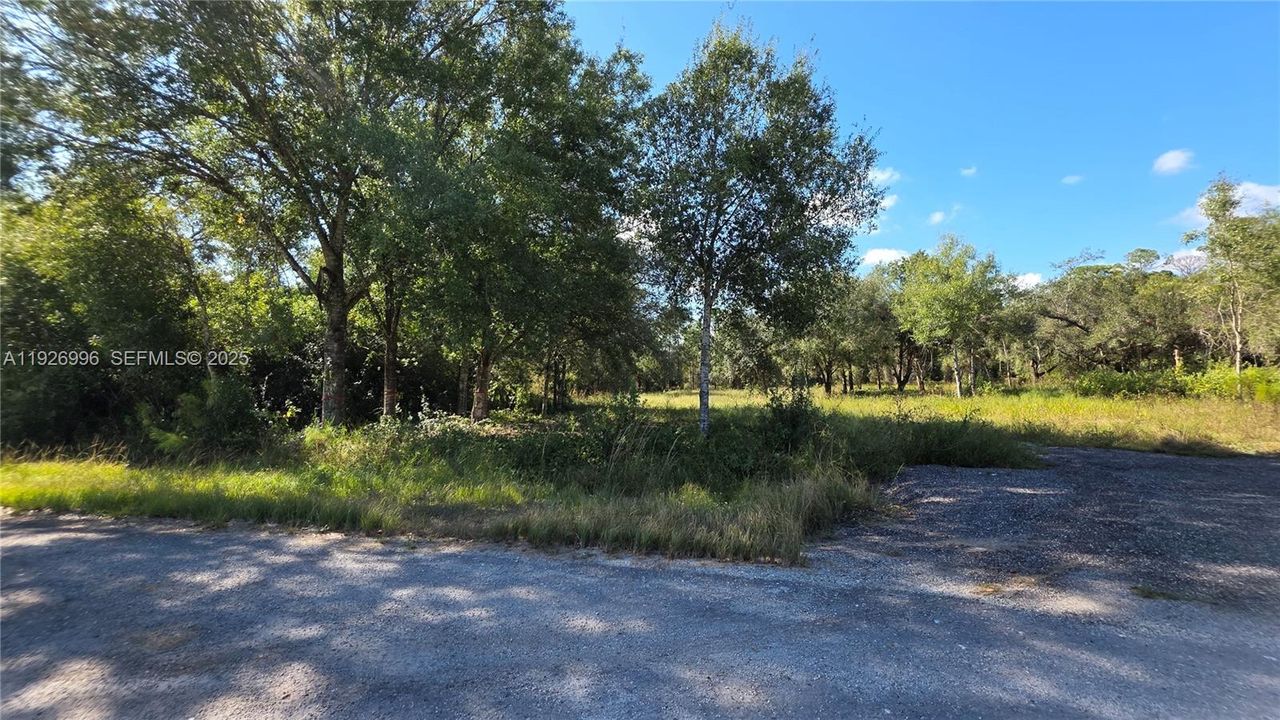 待售: $75,000 (0 贝兹, 0 浴室, 0 平方英尺)