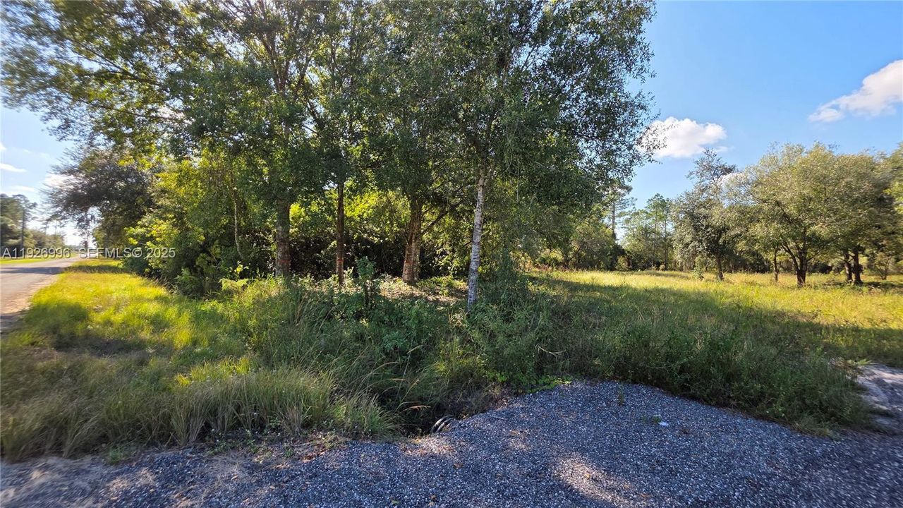 待售: $75,000 (0 贝兹, 0 浴室, 0 平方英尺)