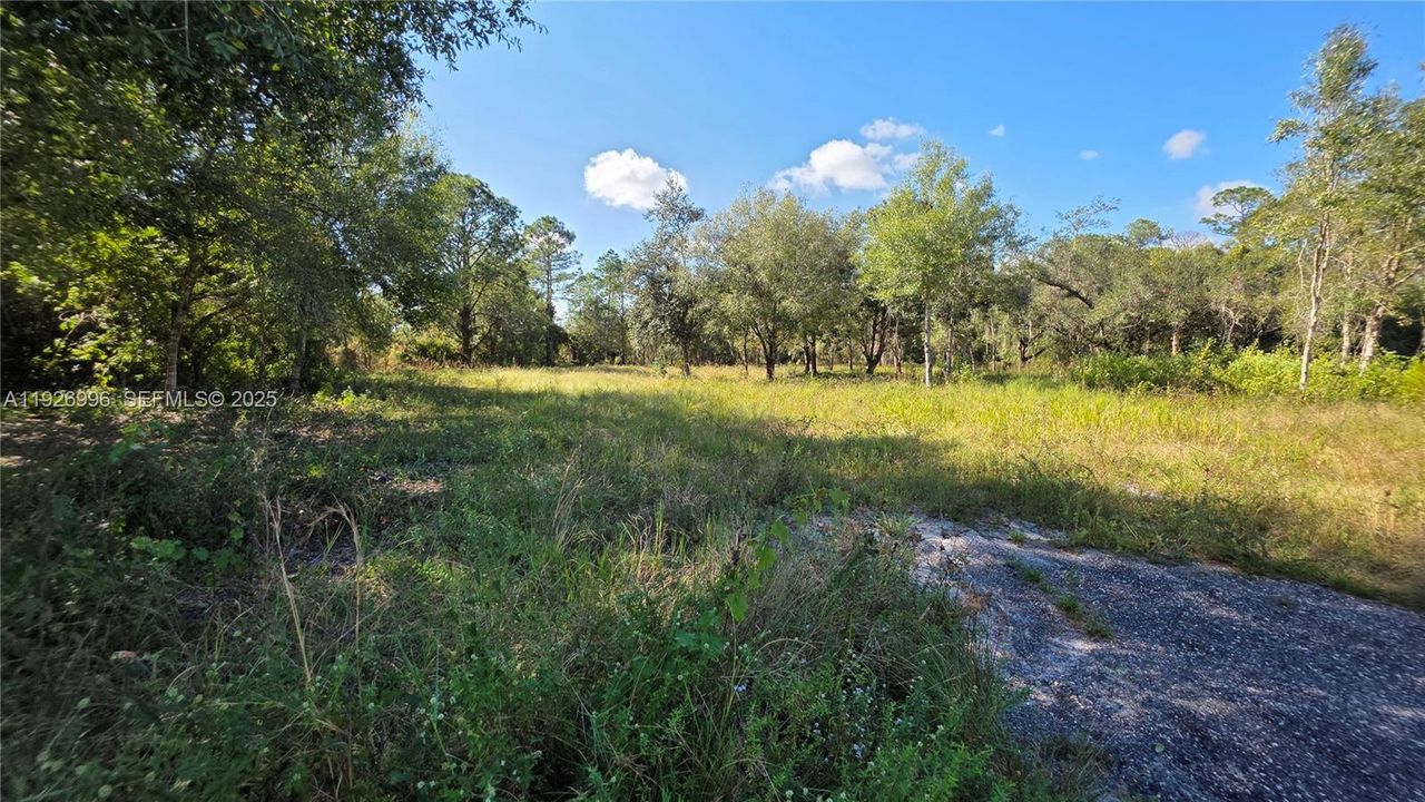 待售: $75,000 (0 贝兹, 0 浴室, 0 平方英尺)