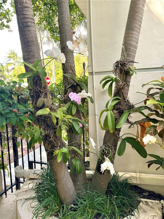 En Venta: $270,900 (0 camas, 1 baños, 420 Pies cuadrados)