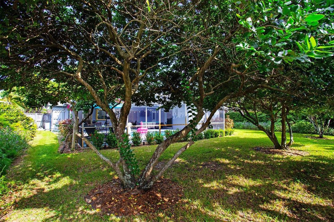 For Sale: $679,000 (3 beds, 2 baths, 1580 Square Feet)