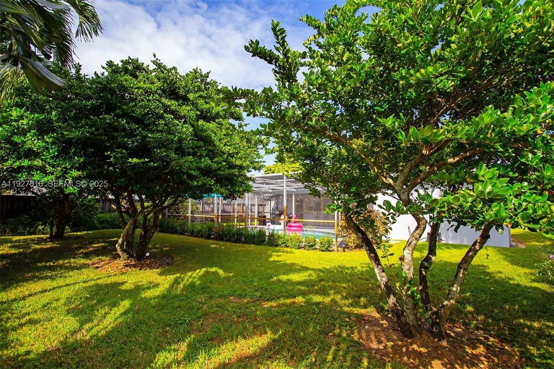 For Sale: $679,000 (3 beds, 2 baths, 1580 Square Feet)