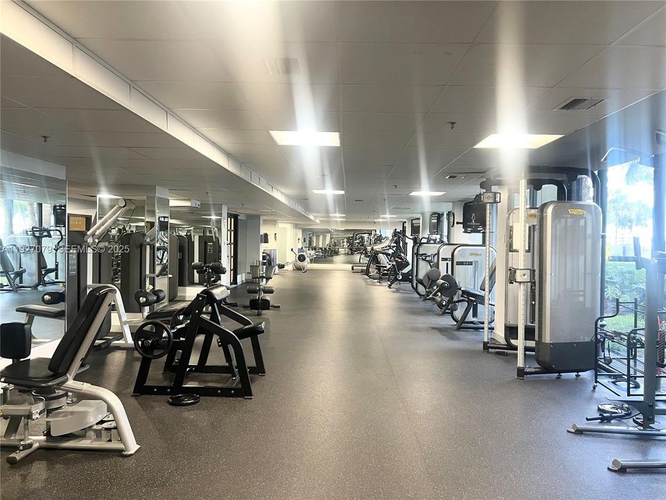 出租: $2,300 (1 贝兹, 1 浴室, 640 平方英尺)