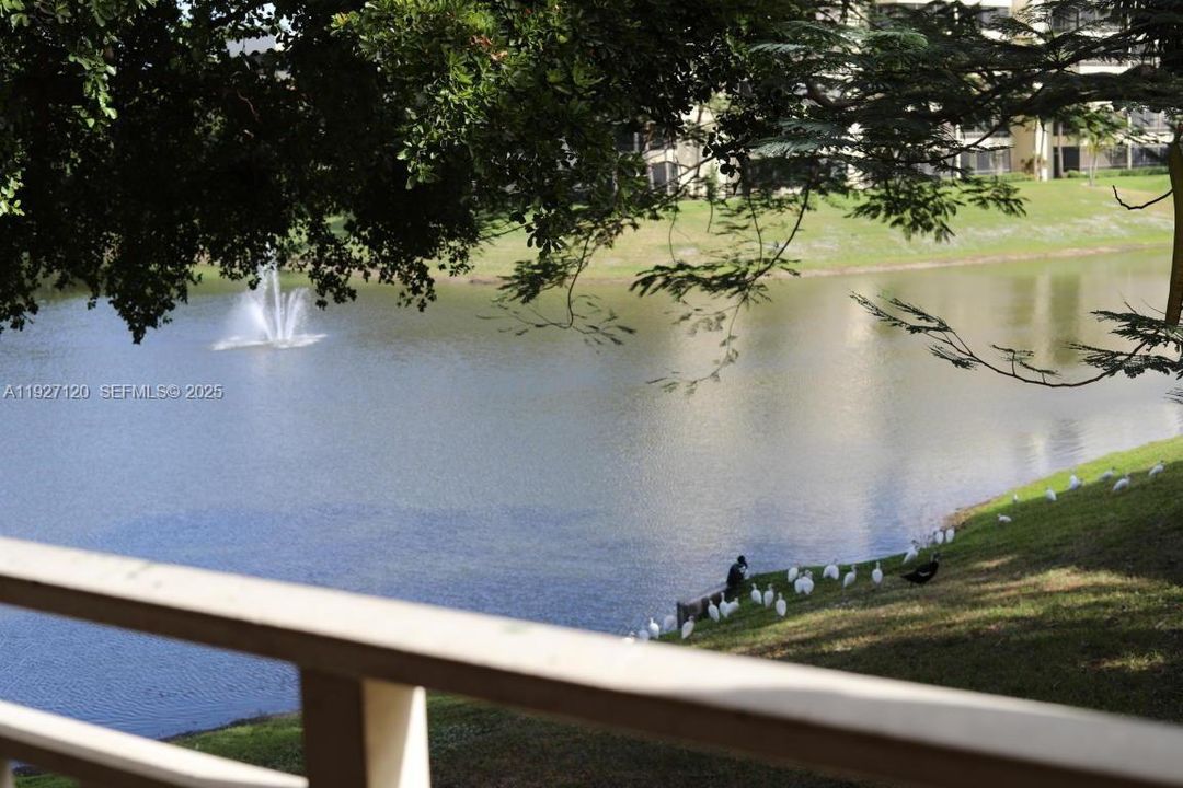 En Renta: $1,850 (1 camas, 1 baños, 636 Pies cuadrados)